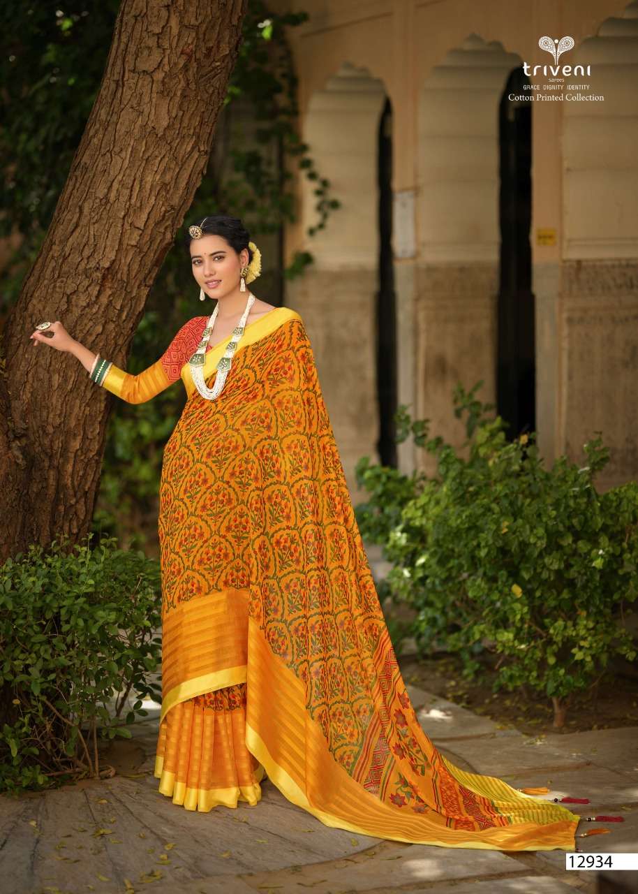 triveni ahana stylish designer saree catalogue wholesale price surat