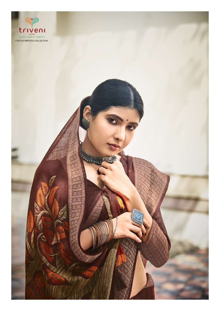 triveni saree rajkumari vol 2 traditional look designer saree catalogue wholesale price surat