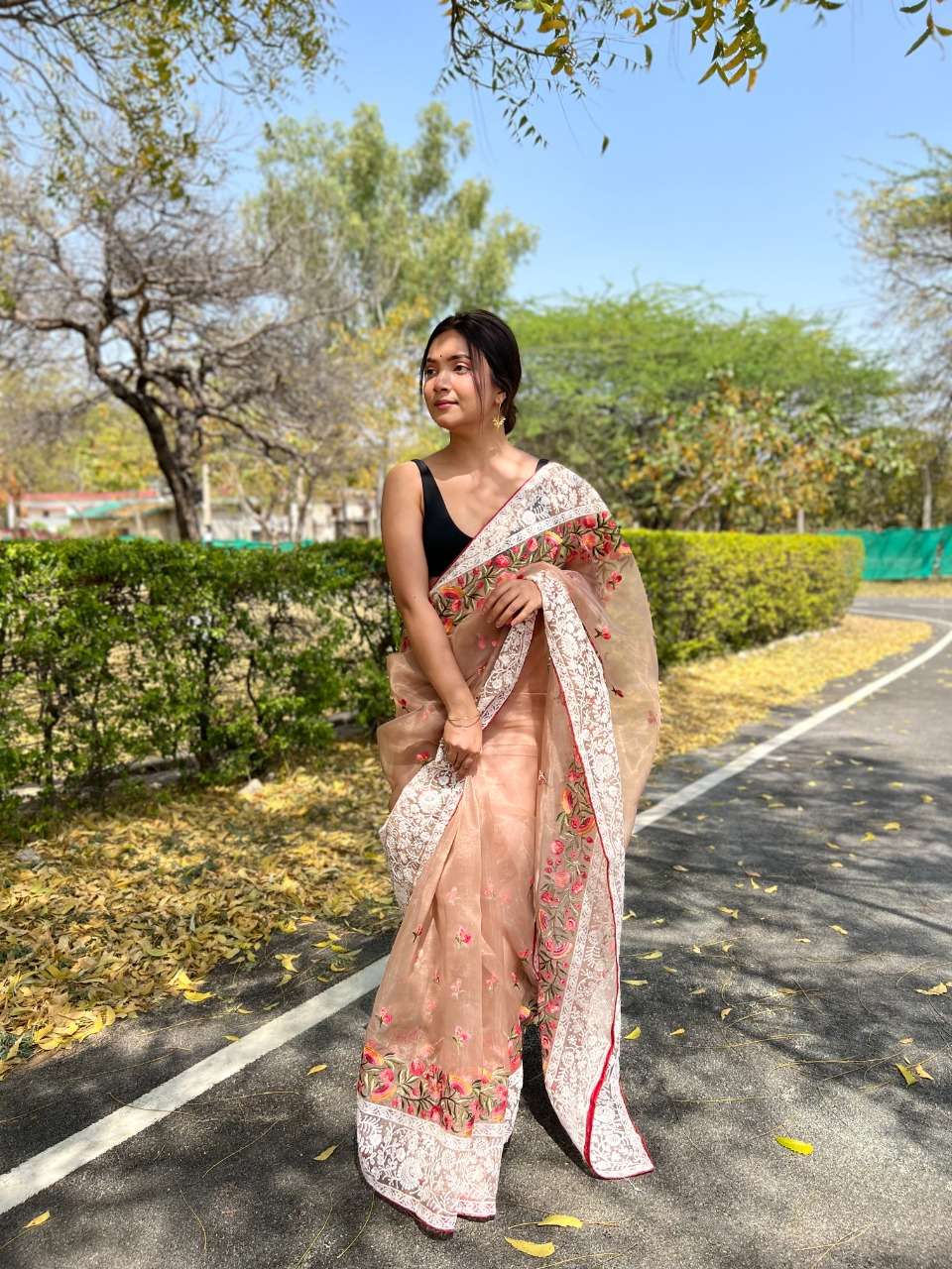 shree trends riddhi siddhi fancy designer sarees catalogue online exporter surat 