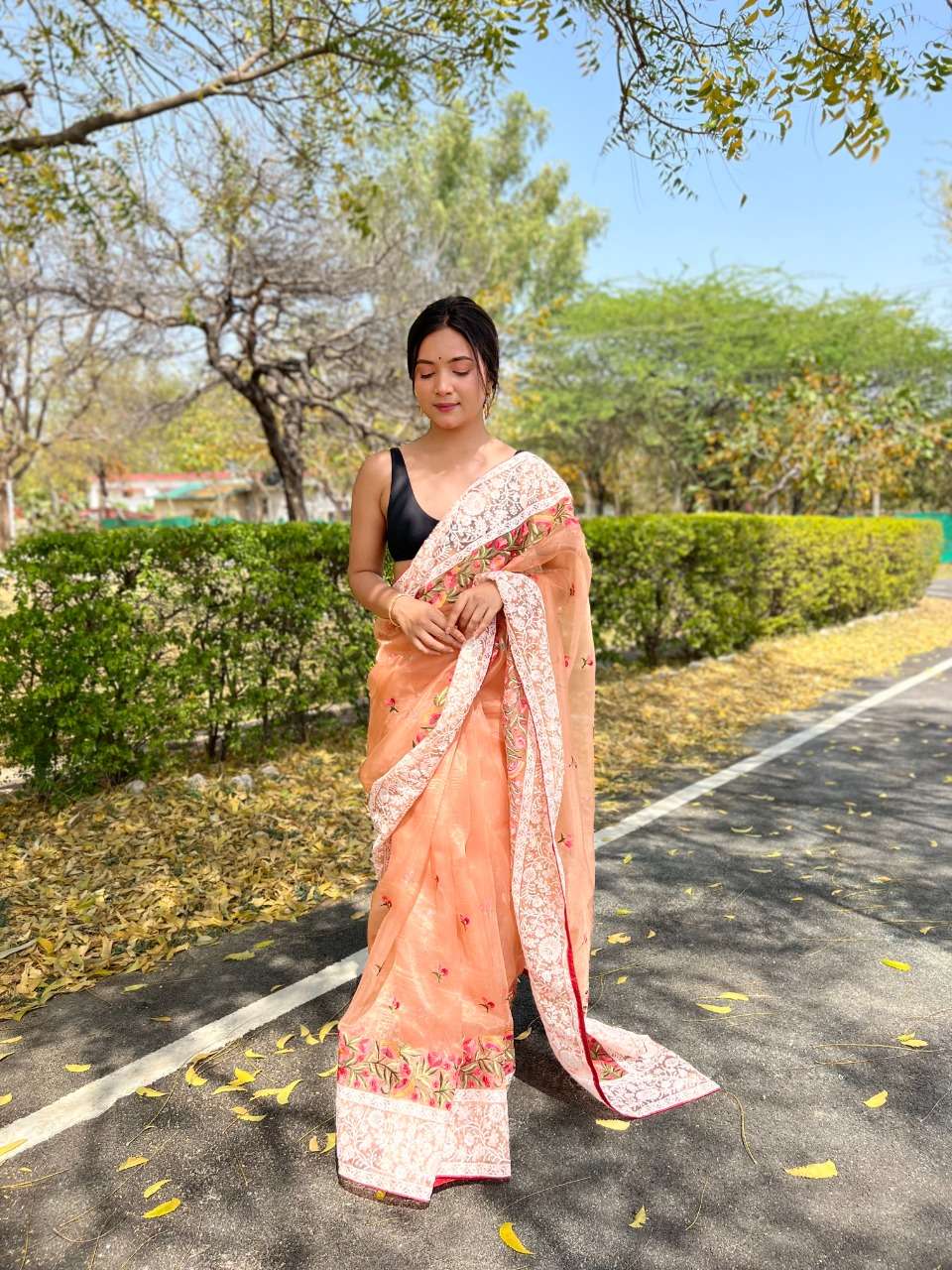 shree trends riddhi siddhi fancy designer sarees catalogue online exporter surat 