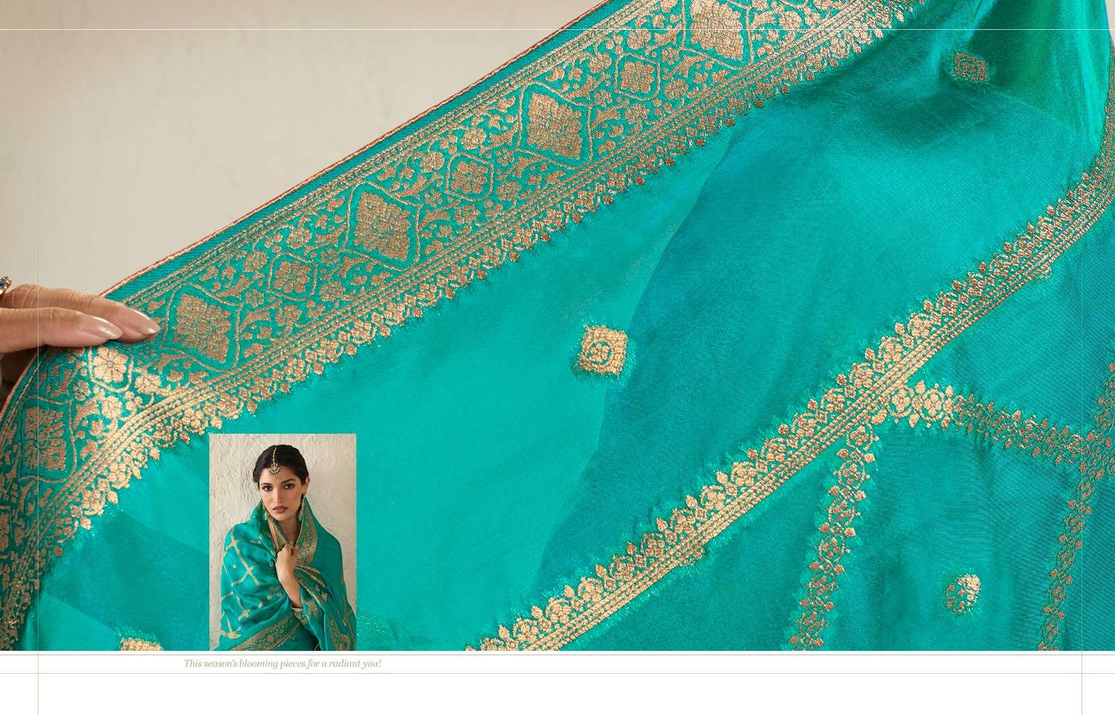 zisa charmy olive 4881-4884 series designer latest partywear salwar kameez wholesaler